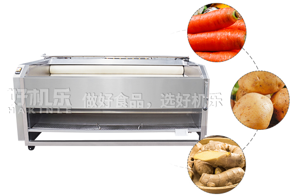 根茎类蔬菜土豆清洗机