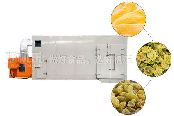 热泵式芒果干烘干设备